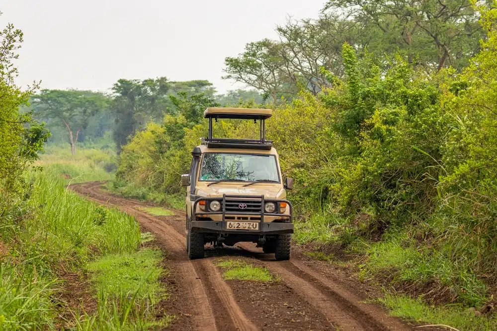 Self drive  in Murchison Falls National Park