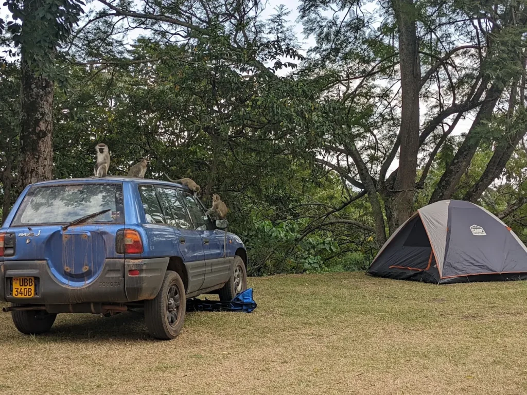 Toyota RAV4 Rental with Ground Tents & Camping Equipment in Uganda
